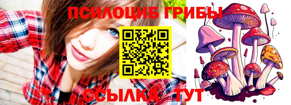 Галлюциногенные грибы GOLDEN TEACHER Шебекино