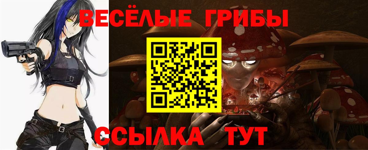закладка  Вход с VPN  Шебекино  Галлюциногенные грибы Magic Shrooms 